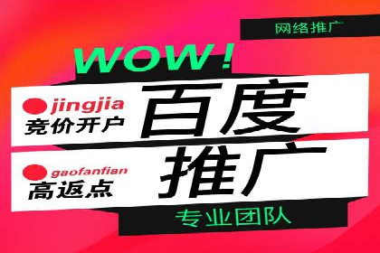 百度竞价广告：案例分析，教你如何精准投放
